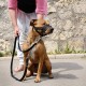 Lepark Nylon Muzzle for Small Medium Large Dogs Prevent Biting Barking Chewing Adjustable Loop (L/Black) Lepark Nylon Muzzle for Small Medium Large Dogs Prevent Biting Barking Chewing Adjustable Loop (L/Black)