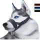 Lepark Nylon Muzzle for Small Medium Large Dogs Prevent Biting Barking Chewing Adjustable Loop (XL/Black)