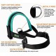Lepark Nylon Muzzle for Small Medium Large Dogs Prevent Biting Barking Chewing Adjustable Loop (XL/Black)