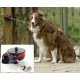 Lixit Animal Care Bracket Mount Retractable Tie Out Reel, Large Lixit Animal Care Bracket Mount Retractable Tie Out Reel, Large