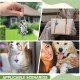 MIRKUZI Collar Jewellery for Dogs 6 Pieces Pet Collar Bell Set Collar/Keychain Pet Bell Set Loud Colorful and Stylish Dog Cat Collar Decoration MIRKUZI Collar Jewellery for Dogs 6 Pieces Pet Collar Bell Set Collar/Keychain Pet Bell Set Loud Colorful and Stylish Dog Cat Collar Decoration