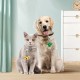 MIRKUZI Collar Jewellery for Dogs 6 Pieces Pet Collar Bell Set Collar/Keychain Pet Bell Set Loud Colorful and Stylish Dog Cat Collar Decoration MIRKUZI Collar Jewellery for Dogs 6 Pieces Pet Collar Bell Set Collar/Keychain Pet Bell Set Loud Colorful and Stylish Dog Cat Collar Decoration
