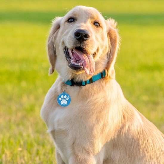 MYLUCKYTAG NFC & QR Code Smart Pet ID Tag Personalised Dog Cat Tag, Online Pet Profile, Pet Location Alert Email, Digital Pet Tag, Quiet Pet Tag, Durable Pet ID, Dog Collar Tag MYLUCKYTAG NFC & QR Code Smart Pet ID Tag Personalised Dog Cat Tag, Online Pet Profile, Pet Location Alert Email, Digital Pet Tag, Quiet Pet Tag, Durable Pet ID, Dog Collar Tag