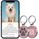 MYLUCKYTAG QR Code Pet ID Tags Dog Tags - Online Pet Profile - Scan QR Receive Instant Pet Location Alert Email MYLUCKYTAG QR Code Pet ID Tags Dog Tags - Online Pet Profile - Scan QR Receive Instant Pet Location Alert Email