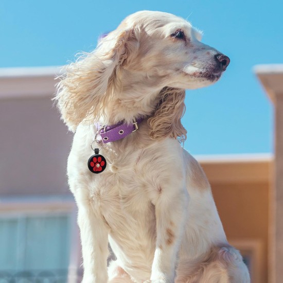 MYLUCKYTAG QR Code Pet ID Tags Dog Tags - Online Pet Profile - Scan QR Receive Instant Pet Location Alert Email MYLUCKYTAG QR Code Pet ID Tags Dog Tags - Online Pet Profile - Scan QR Receive Instant Pet Location Alert Email