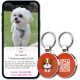 MYLUCKYTAG QR Code Pet ID Tags Dog Tags - Online Pet Profile - Scan QR Receive Instant Pet Location Alert Email MYLUCKYTAG QR Code Pet ID Tags Dog Tags - Online Pet Profile - Scan QR Receive Instant Pet Location Alert Email