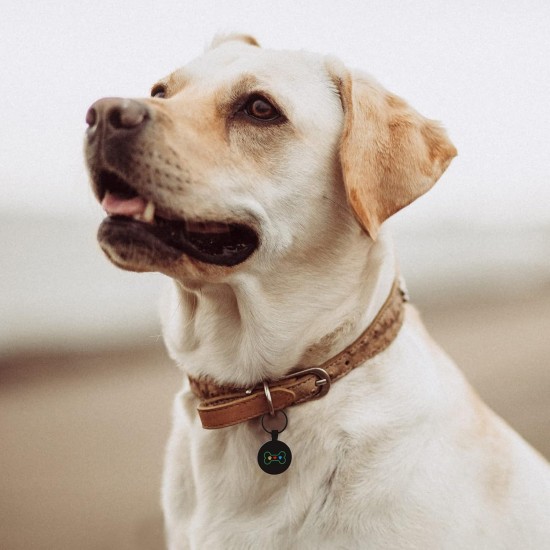 MYLUCKYTAG QR Code Pet ID Tags Dog Tags - Online Pet Profile - Scan QR Receive Instant Pet Location Alert Email MYLUCKYTAG QR Code Pet ID Tags Dog Tags - Online Pet Profile - Scan QR Receive Instant Pet Location Alert Email