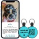 MYLUCKYTAG Quiet Silicone QR Code Pet ID Tags Dog Tags - Pet Online Profile - Scan QR Get Instant Pet Location Alert Email MYLUCKYTAG Quiet Silicone QR Code Pet ID Tags Dog Tags - Pet Online Profile - Scan QR Get Instant Pet Location Alert Email