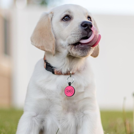 MYLUCKYTAG Quiet Silicone QR Code Pet ID Tags Dog Tags - Pet Online Profile - Scan QR Get Instant Pet Location Alert Email MYLUCKYTAG Quiet Silicone QR Code Pet ID Tags Dog Tags - Pet Online Profile - Scan QR Get Instant Pet Location Alert Email