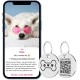 MYLUCKYTAG Stainless Steel QR Code Pet ID Tags Dog Tags - Pet Online Profile - Scan QR Get Instant Pet Location Alert Email MYLUCKYTAG Stainless Steel QR Code Pet ID Tags Dog Tags - Pet Online Profile - Scan QR Get Instant Pet Location Alert Email