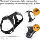 Magnetic Belka Comfort Harness Black M Magnetic Belka Comfort Harness Black M