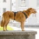 Magnetic Belka Comfort Harness Black M Magnetic Belka Comfort Harness Black M