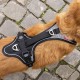 Magnetic Belka Comfort Harness Black M Magnetic Belka Comfort Harness Black M