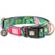 Max & Molly Dog Collar with Safety QR Code, Dog Tag, Soft Adjustable and Waterproof Cute Summer Theme Design for Girls Boys Dogs and Puppies, Large, Kiwi Green Max & Molly Dog Collar with Safety QR Code, Dog Tag, Soft Adjustable and Waterproof Cute Summer Theme Design for Girls Boys Dogs and Puppies, Large, Kiwi Green