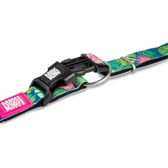 Max & Molly Dog Collar with Safety QR Code, Dog Tag, Soft Adjustable and Waterproof Cute Summer Theme Design for Girls Boys Dogs and Puppies, Large, Kiwi Green Max & Molly Dog Collar with Safety QR Code, Dog Tag, Soft Adjustable and Waterproof Cute Summer Theme Design for Girls Boys Dogs and Puppies, Large, Kiwi Green