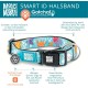 Max & Molly Dog Collar with Safety QR Code, Dog Tag, Soft Adjustable and Waterproof Cute Summer Theme Design for Girls Boys Dogs and Puppies, Large, Kiwi Green Max & Molly Dog Collar with Safety QR Code, Dog Tag, Soft Adjustable and Waterproof Cute Summer Theme Design for Girls Boys Dogs and Puppies, Large, Kiwi Green