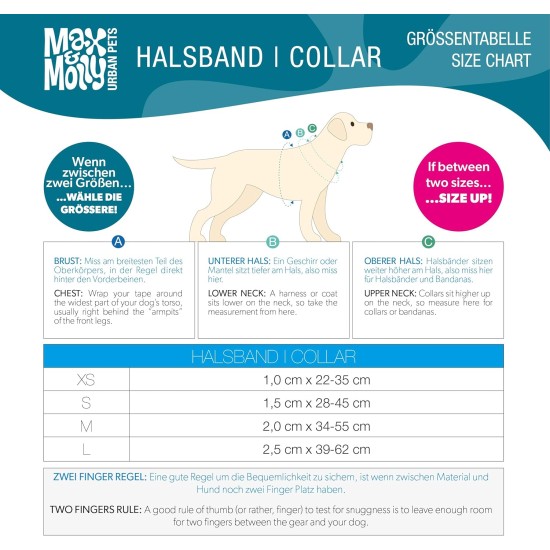 Max & Molly Dog Collar with Safety QR Code, Dog Tag, Soft Adjustable and Waterproof Cute Summer Theme Design for Girls Boys Dogs and Puppies, Large, Kiwi Green Max & Molly Dog Collar with Safety QR Code, Dog Tag, Soft Adjustable and Waterproof Cute Summer Theme Design for Girls Boys Dogs and Puppies, Large, Kiwi Green
