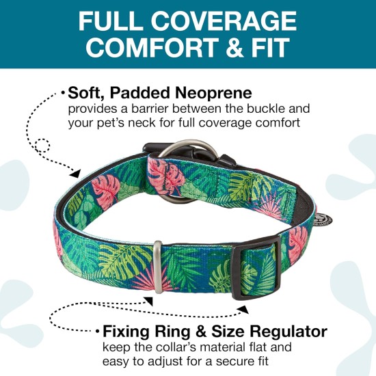 Max & Molly Dog Collar with Safety QR Code, Dog Tag, Soft Adjustable and Waterproof Cute Summer Theme Design for Girls Boys Dogs and Puppies, Large, Kiwi Green Max & Molly Dog Collar with Safety QR Code, Dog Tag, Soft Adjustable and Waterproof Cute Summer Theme Design for Girls Boys Dogs and Puppies, Large, Kiwi Green