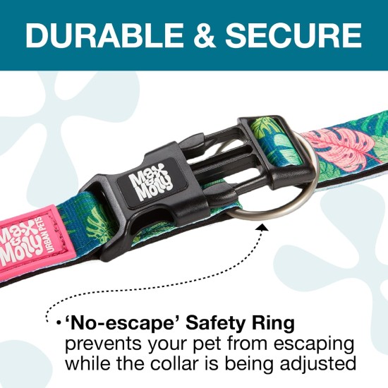Max & Molly Dog Collar with Safety QR Code, Dog Tag, Soft Adjustable and Waterproof Cute Summer Theme Design for Girls Boys Dogs and Puppies, Large, Kiwi Green Max & Molly Dog Collar with Safety QR Code, Dog Tag, Soft Adjustable and Waterproof Cute Summer Theme Design for Girls Boys Dogs and Puppies, Large, Kiwi Green
