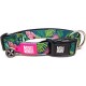 Max & Molly Dog Collar with Safety QR Code, Dog Tag, Soft Adjustable and Waterproof Cute Summer Theme Design for Girls Boys Dogs and Puppies, Large, Kiwi Green Max & Molly Dog Collar with Safety QR Code, Dog Tag, Soft Adjustable and Waterproof Cute Summer Theme Design for Girls Boys Dogs and Puppies, Large, Kiwi Green