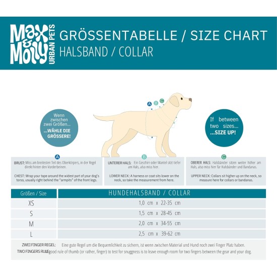 Max & Molly Dog Collar with Safety QR Code, Dog Tag, Soft Adjustable and Waterproof Cute Summer Theme Design for Girls Boys Dogs and Puppies, Large, Kiwi Green Max & Molly Dog Collar with Safety QR Code, Dog Tag, Soft Adjustable and Waterproof Cute Summer Theme Design for Girls Boys Dogs and Puppies, Large, Kiwi Green