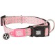 Max & Molly Dog Collar with Safety QR Code, Dog Tag, Soft Adjustable and Waterproof Cute Summer Theme Design for Girls Boys Dogs and Puppies, Large, Kiwi Green Max & Molly Dog Collar with Safety QR Code, Dog Tag, Soft Adjustable and Waterproof Cute Summer Theme Design for Girls Boys Dogs and Puppies, Large, Kiwi Green