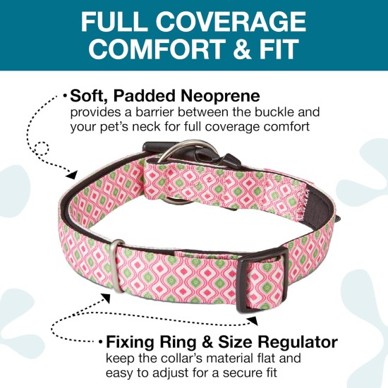 Max & Molly Dog Collar with Safety QR Code, Dog Tag, Soft Adjustable and Waterproof Cute Summer Theme Design for Girls Boys Dogs and Puppies, Large, Kiwi Green Max & Molly Dog Collar with Safety QR Code, Dog Tag, Soft Adjustable and Waterproof Cute Summer Theme Design for Girls Boys Dogs and Puppies, Large, Kiwi Green