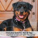 Max & Molly Dog Collar with Safety QR Code, Dog Tag, Soft Adjustable and Waterproof Cute Summer Theme Design for Girls Boys Dogs and Puppies, Large, Kiwi Green Max & Molly Dog Collar with Safety QR Code, Dog Tag, Soft Adjustable and Waterproof Cute Summer Theme Design for Girls Boys Dogs and Puppies, Large, Kiwi Green