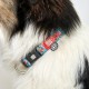 Max & Molly Gotcha Smart ID Pendant Max & Molly Gotcha Smart ID Pendant