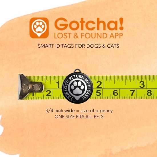 Max & Molly Gotcha Smart ID Pendant Max & Molly Gotcha Smart ID Pendant