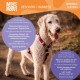 Max & Molly Ultra Comfortable Padded Neoprene Dog Harness, Safe, Adjustable and Easy to Control Max & Molly Ultra Comfortable Padded Neoprene Dog Harness, Safe, Adjustable and Easy to Control