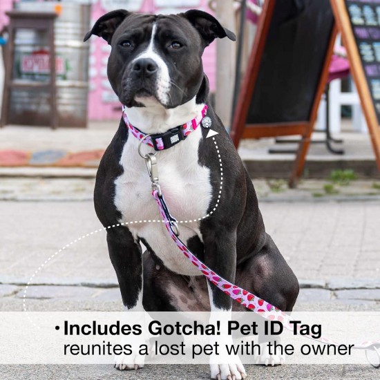 Max & Molly Urban Pets Soft Padded Neoprene Dog Collar with Smart ID Gotcha! QR Pet Safety Tag, Durable, Waterproof, Odourless, Machine Washable, Collar for Dogs Max & Molly Urban Pets Soft Padded Neoprene Dog Collar with Smart ID Gotcha! QR Pet Safety Tag, Durable, Waterproof, Odourless, Machine Washable, Collar for Dogs