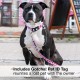 Max & Molly Urban Pets Soft Padded Neoprene Dog Collar with Smart ID Gotcha! QR Pet Safety Tag, Durable, Waterproof, Odourless, Machine Washable, Collar for Dogs Max & Molly Urban Pets Soft Padded Neoprene Dog Collar with Smart ID Gotcha! QR Pet Safety Tag, Durable, Waterproof, Odourless, Machine Washable, Collar for Dogs