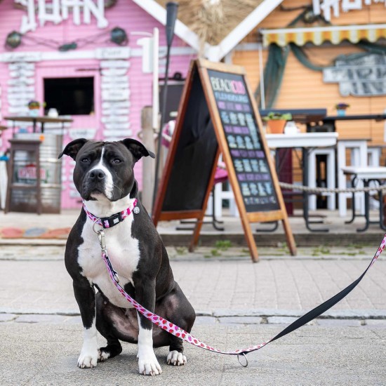 Max & Molly Urban Pets Soft Padded Neoprene Dog Collar with Smart ID Gotcha! QR Pet Safety Tag, Durable, Waterproof, Odourless, Machine Washable, Collar for Dogs Max & Molly Urban Pets Soft Padded Neoprene Dog Collar with Smart ID Gotcha! QR Pet Safety Tag, Durable, Waterproof, Odourless, Machine Washable, Collar for Dogs