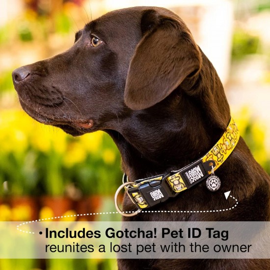 Max & Molly Urban Pets Soft Padded Neoprene Dog Collar with Smart ID Gotcha! QR Pet Safety Tag, Durable, Waterproof, Odourless, Machine Washable, Collar for Dogs Max & Molly Urban Pets Soft Padded Neoprene Dog Collar with Smart ID Gotcha! QR Pet Safety Tag, Durable, Waterproof, Odourless, Machine Washable, Collar for Dogs