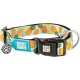 Max & Molly Urban Pets Soft Padded Neoprene Dog Collar with Smart ID Gotcha! QR Pet Safety Tag, Durable, Waterproof, Odourless, Machine Washable, Collar for Dogs Max & Molly Urban Pets Soft Padded Neoprene Dog Collar with Smart ID Gotcha! QR Pet Safety Tag, Durable, Waterproof, Odourless, Machine Washable, Collar for Dogs