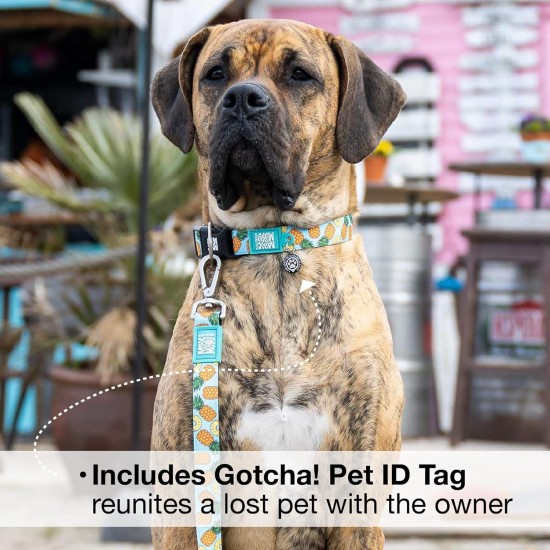 Max & Molly Urban Pets Soft Padded Neoprene Dog Collar with Smart ID Gotcha! QR Pet Safety Tag, Durable, Waterproof, Odourless, Machine Washable, Collar for Dogs Max & Molly Urban Pets Soft Padded Neoprene Dog Collar with Smart ID Gotcha! QR Pet Safety Tag, Durable, Waterproof, Odourless, Machine Washable, Collar for Dogs