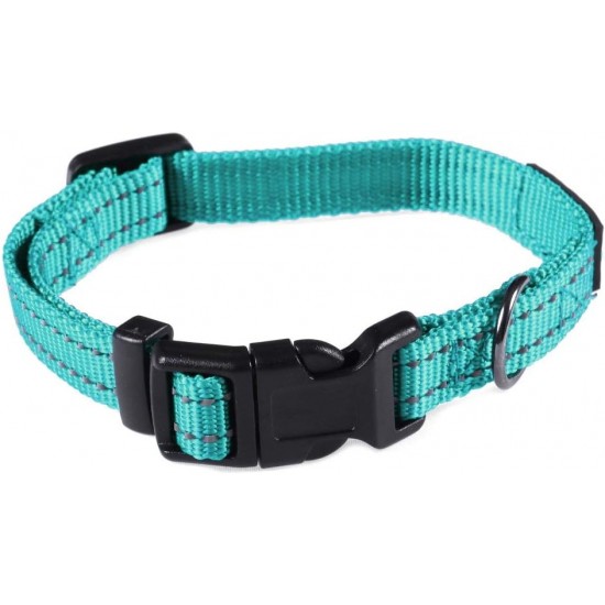 Max and Neo NEO Reflective Nylon Dog Collar with Buckle - X-Small, Teal Max and Neo NEO Reflective Nylon Dog Collar with Buckle - X-Small, Teal