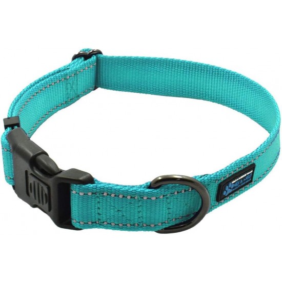 Max and Neo NEO Reflective Nylon Dog Collar with Buckle - X-Small, Teal Max and Neo NEO Reflective Nylon Dog Collar with Buckle - X-Small, Teal