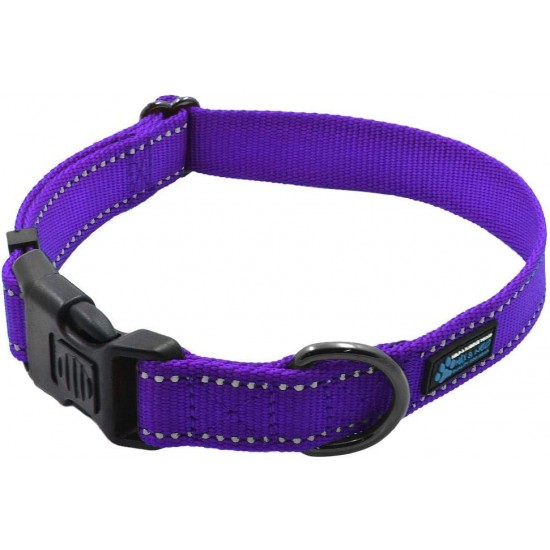 Max and Neo NEO Reflective Nylon Dog Collar with Buckle - X-Small, Teal Max and Neo NEO Reflective Nylon Dog Collar with Buckle - X-Small, Teal