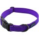 Max and Neo NEO Reflective Nylon Dog Collar with Buckle - X-Small, Teal Max and Neo NEO Reflective Nylon Dog Collar with Buckle - X-Small, Teal