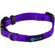 Max and Neo NEO Reflective Nylon Dog Collar with Buckle - X-Small, Teal Max and Neo NEO Reflective Nylon Dog Collar with Buckle - X-Small, Teal