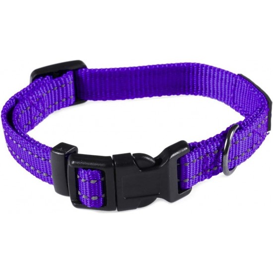 Max and Neo NEO Reflective Nylon Dog Collar with Buckle - X-Small, Teal Max and Neo NEO Reflective Nylon Dog Collar with Buckle - X-Small, Teal