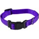 Max and Neo NEO Reflective Nylon Dog Collar with Buckle - X-Small, Teal Max and Neo NEO Reflective Nylon Dog Collar with Buckle - X-Small, Teal