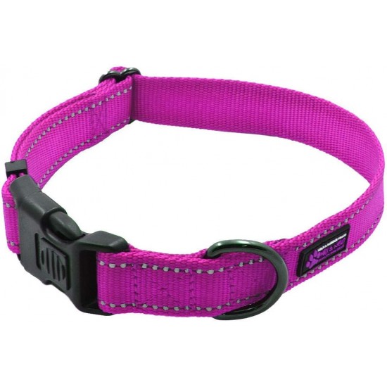Max and Neo NEO Reflective Nylon Dog Collar with Buckle - X-Small, Teal Max and Neo NEO Reflective Nylon Dog Collar with Buckle - X-Small, Teal