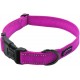 Max and Neo NEO Reflective Nylon Dog Collar with Buckle - X-Small, Teal Max and Neo NEO Reflective Nylon Dog Collar with Buckle - X-Small, Teal