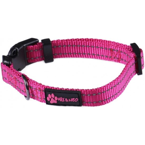 Max and Neo NEO Reflective Nylon Dog Collar with Buckle - X-Small, Teal Max and Neo NEO Reflective Nylon Dog Collar with Buckle - X-Small, Teal
