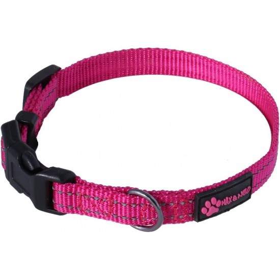 Max and Neo NEO Reflective Nylon Dog Collar with Buckle - X-Small, Teal Max and Neo NEO Reflective Nylon Dog Collar with Buckle - X-Small, Teal