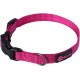 Max and Neo NEO Reflective Nylon Dog Collar with Buckle - X-Small, Teal Max and Neo NEO Reflective Nylon Dog Collar with Buckle - X-Small, Teal