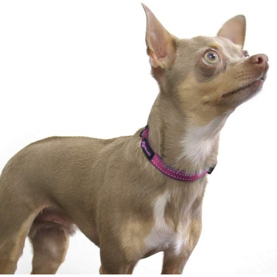 Max and Neo NEO Reflective Nylon Dog Collar with Buckle - X-Small, Teal Max and Neo NEO Reflective Nylon Dog Collar with Buckle - X-Small, Teal